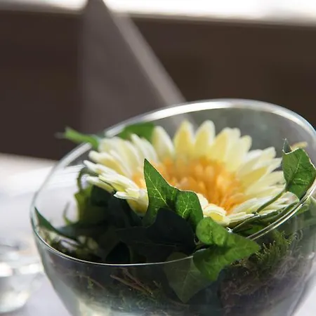 Otel Piazza 3*
