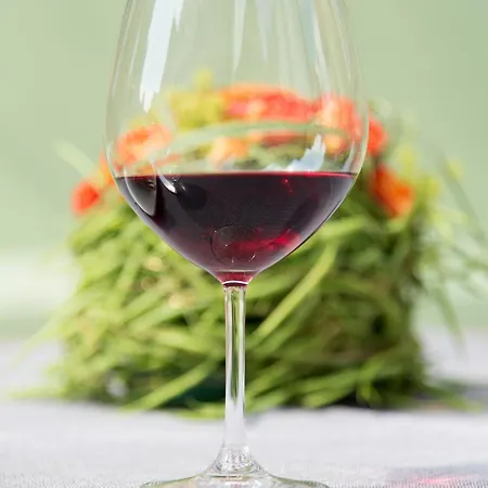 호텔 Altstadthotel Piazza