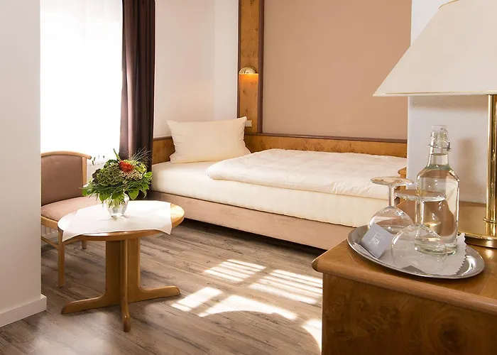 酒店 Altstadthotel Piazza 丁克尔斯比尔