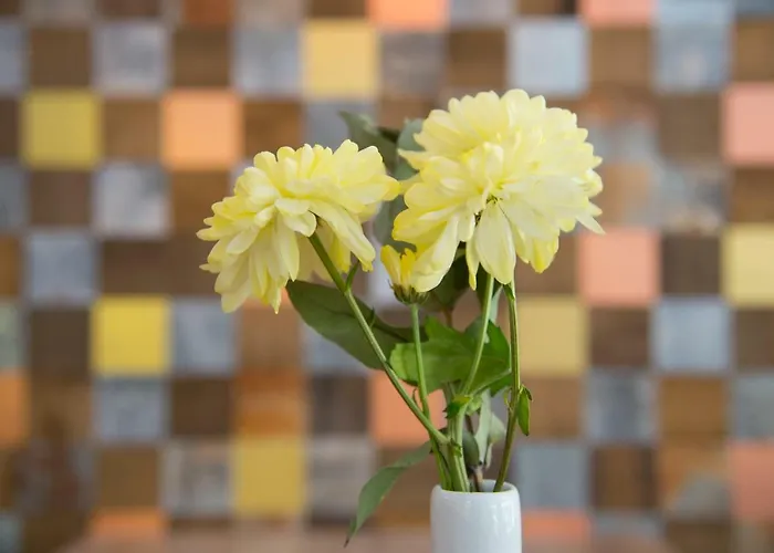 Altstadthotel Piazza 4* ディンケルスビュール